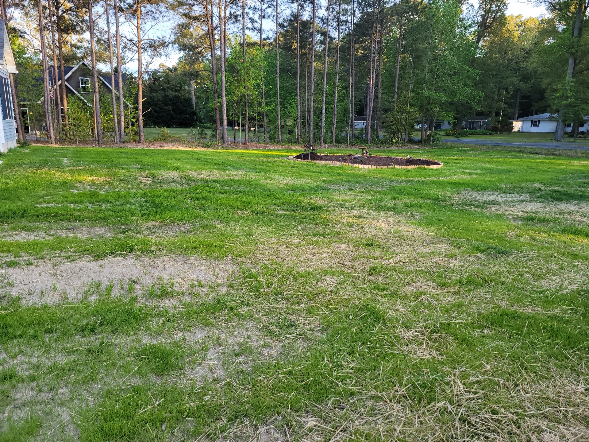 Beautiful green lawn after full landscaping installation