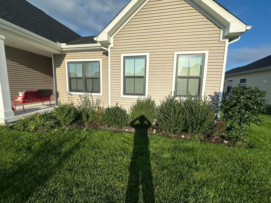 Overgrown shrubs and garden beds before maintenance