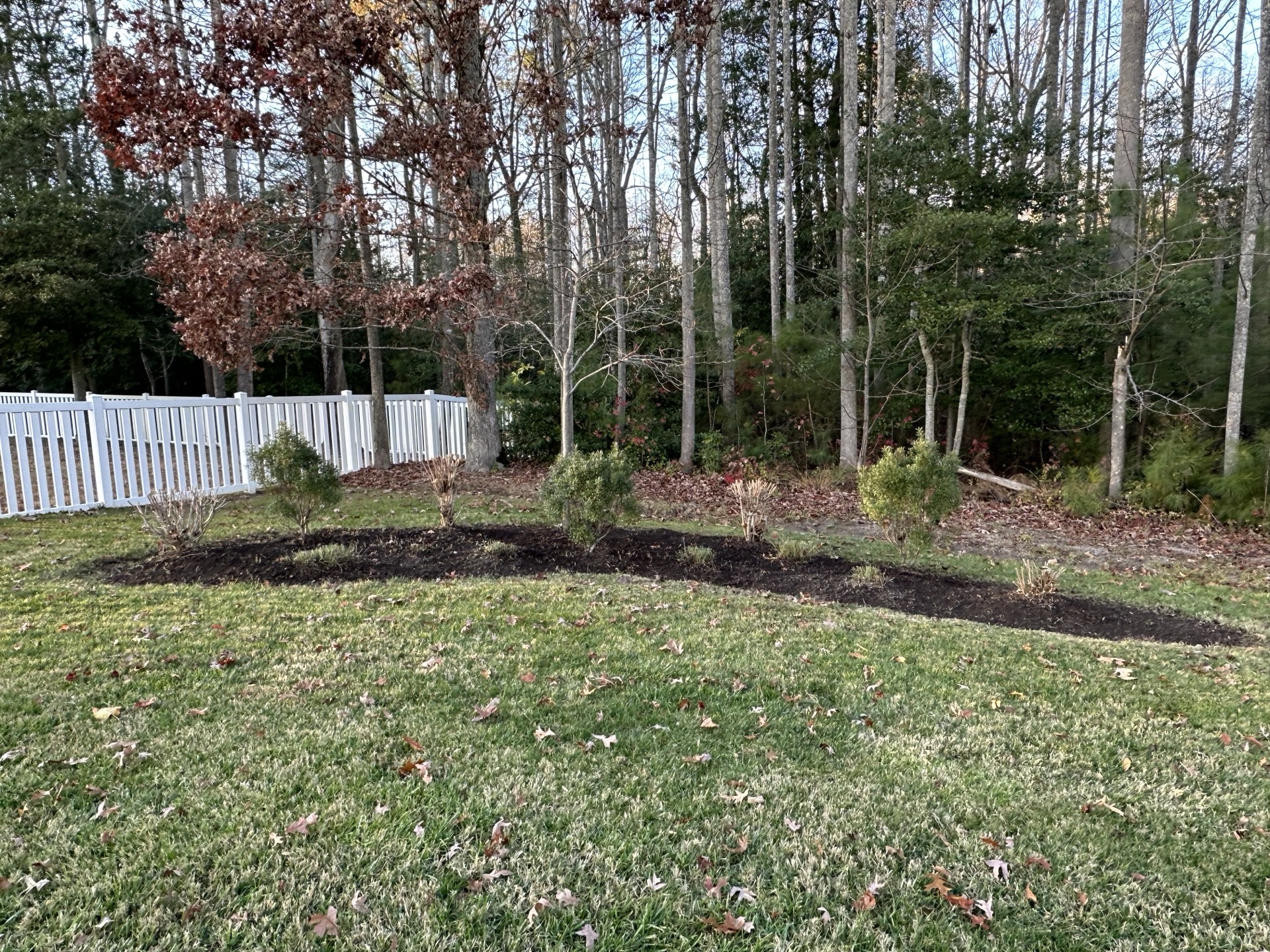 Freshly mulched garden beds - property maintenance